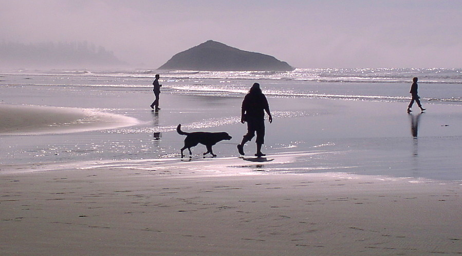 Strandläufer