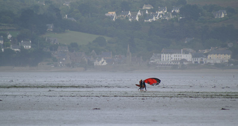 Strandläufer