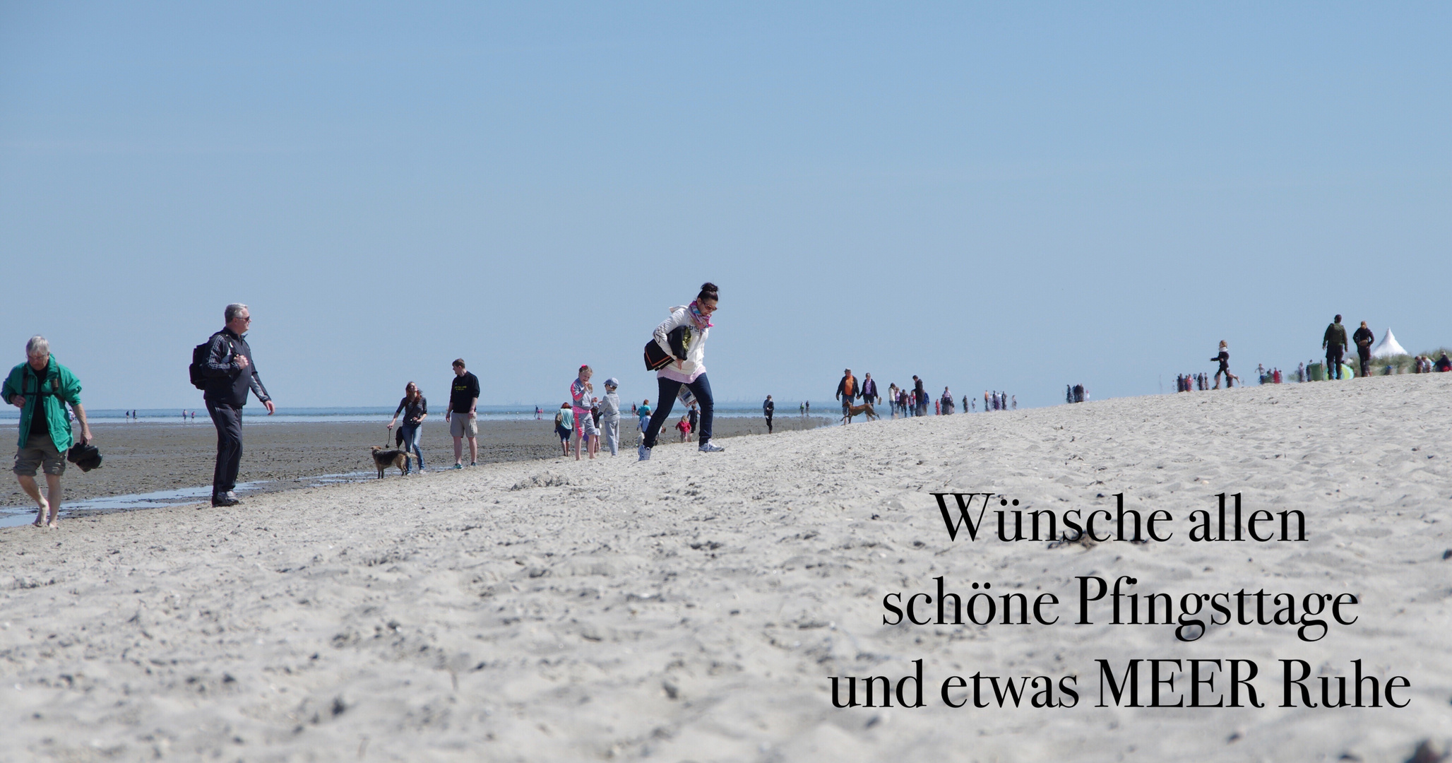 Strandläufer…