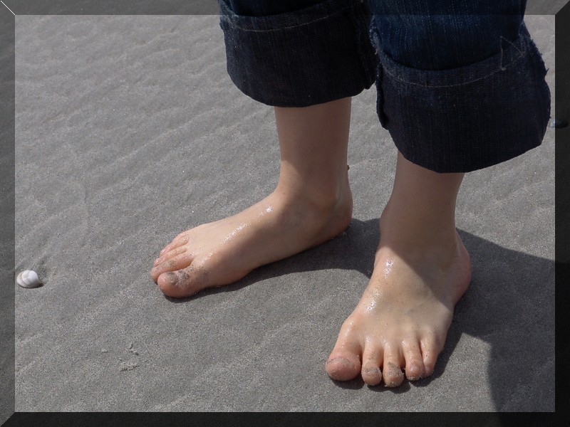 Strandläufer