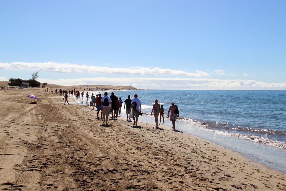 Strandläufer