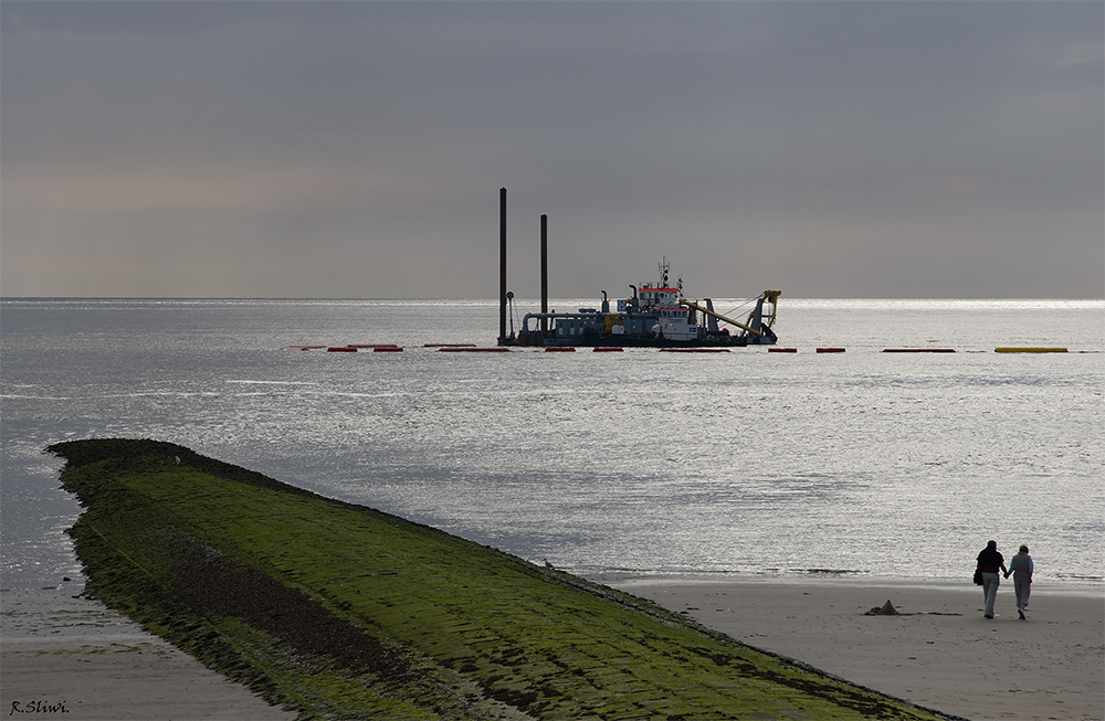 Strandläufer