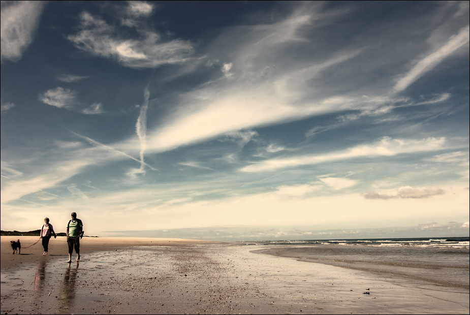 strandläufer