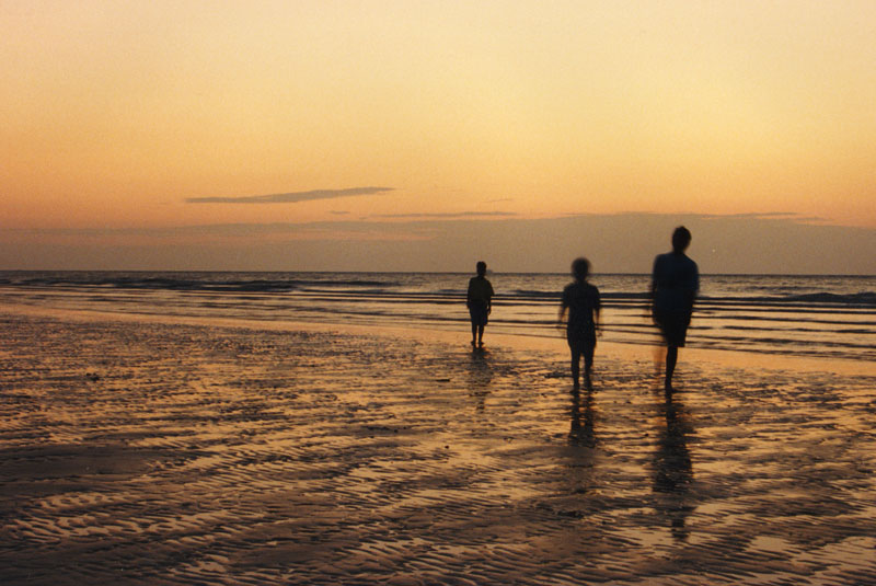 Strandläufer