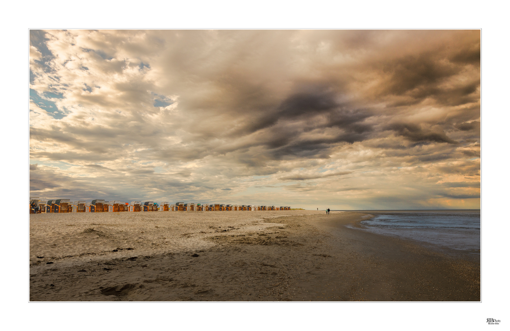 Strandläufer