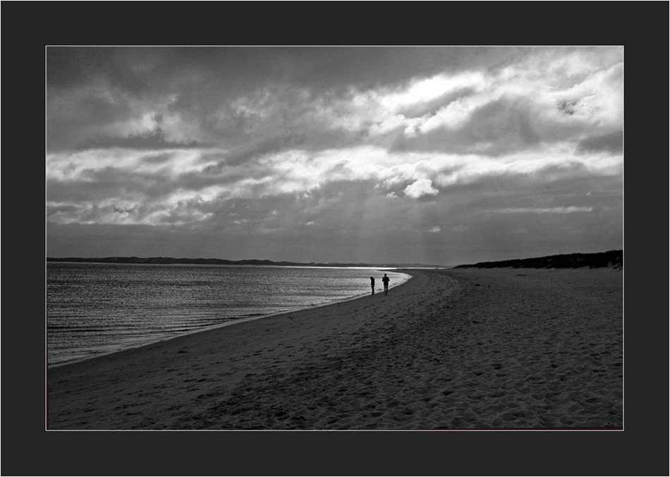 Strandläufer