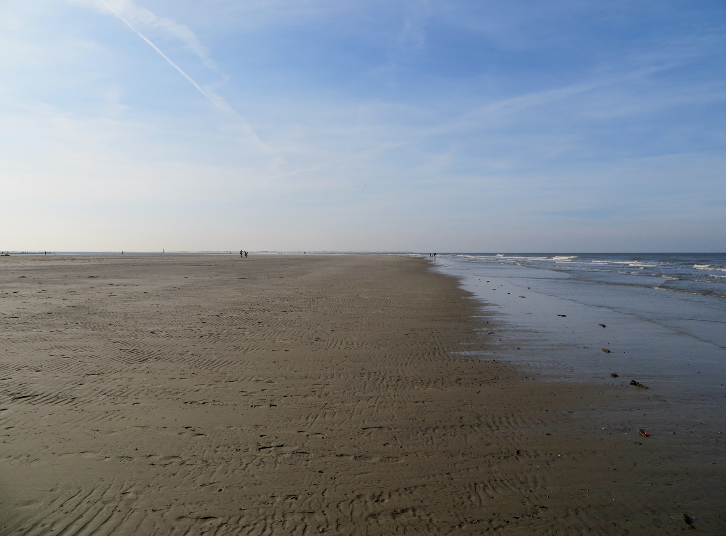 Strandläufer