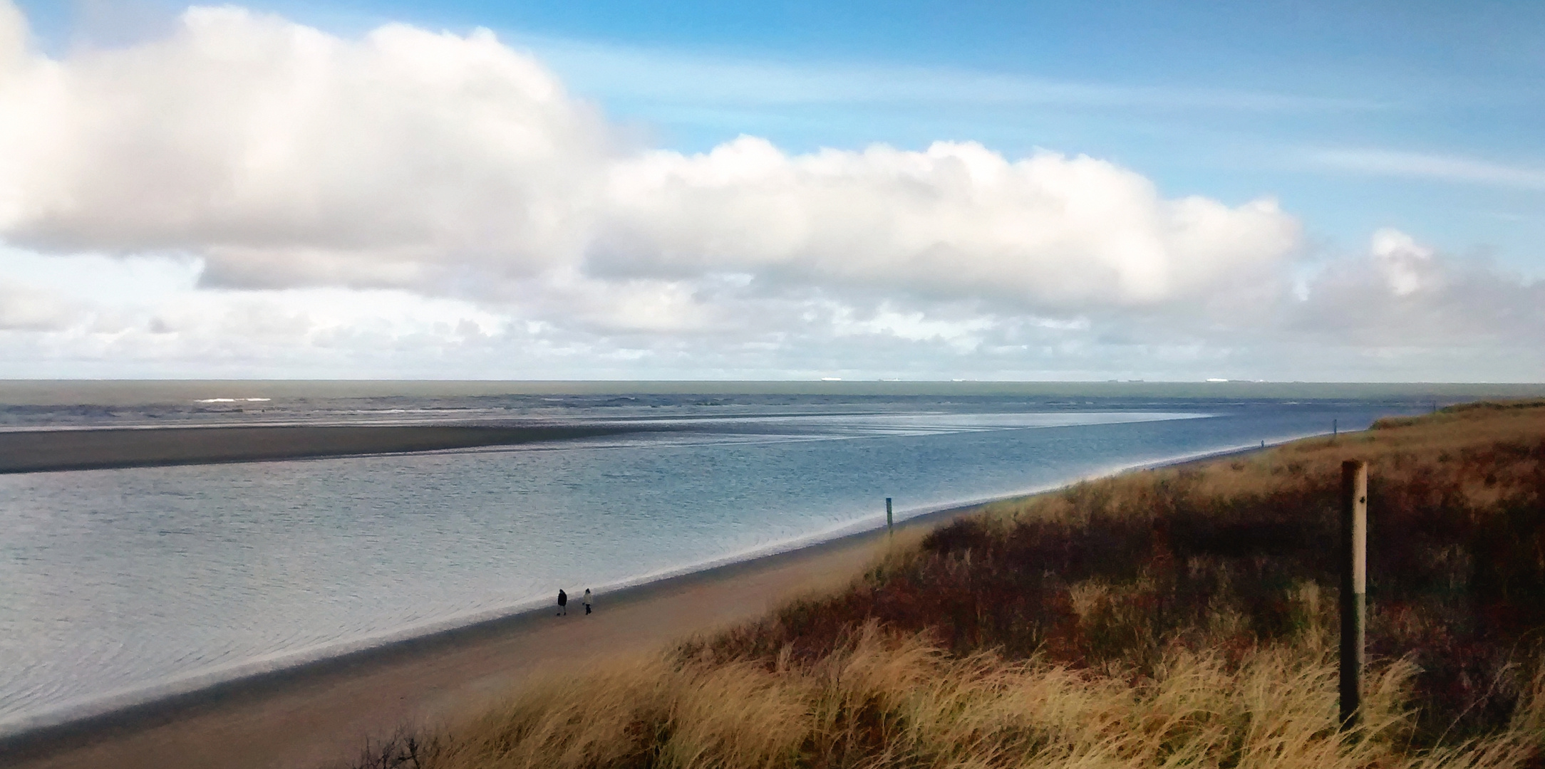 "Strandläufer"