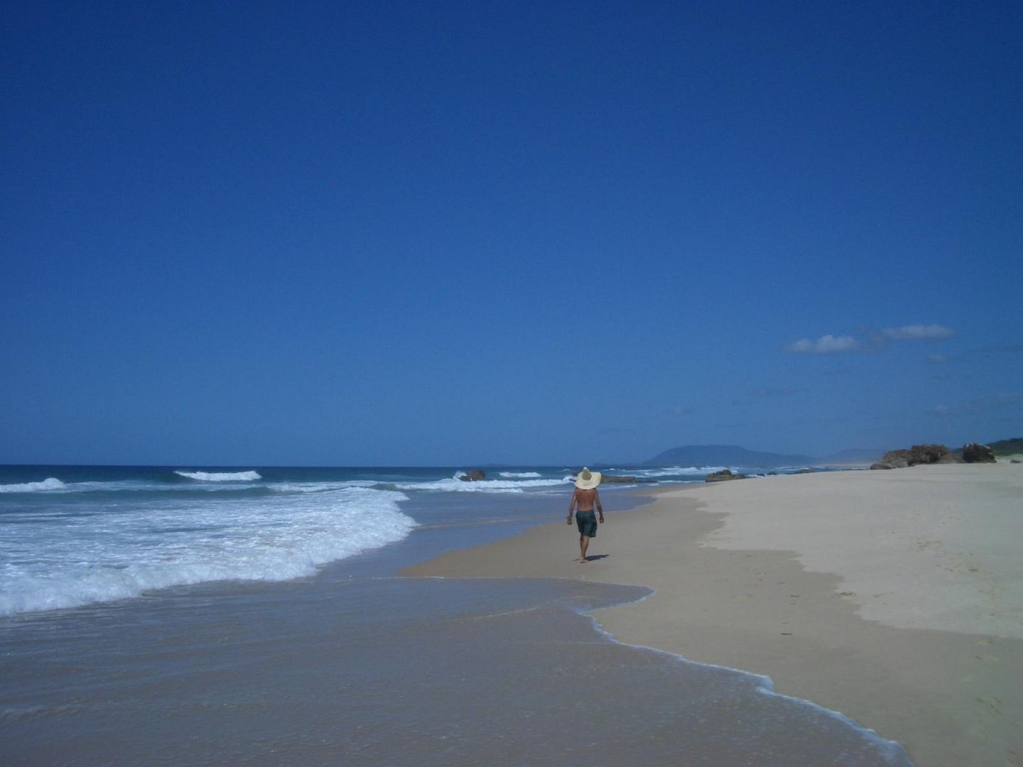 Strandläufer