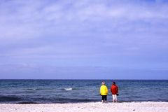 Strandläufer