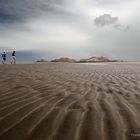 Strandläufer