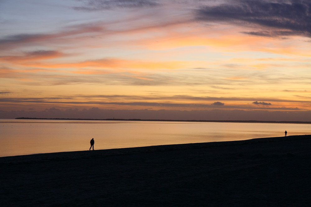 strandläufer