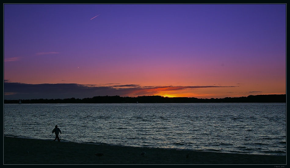 Strandläufer