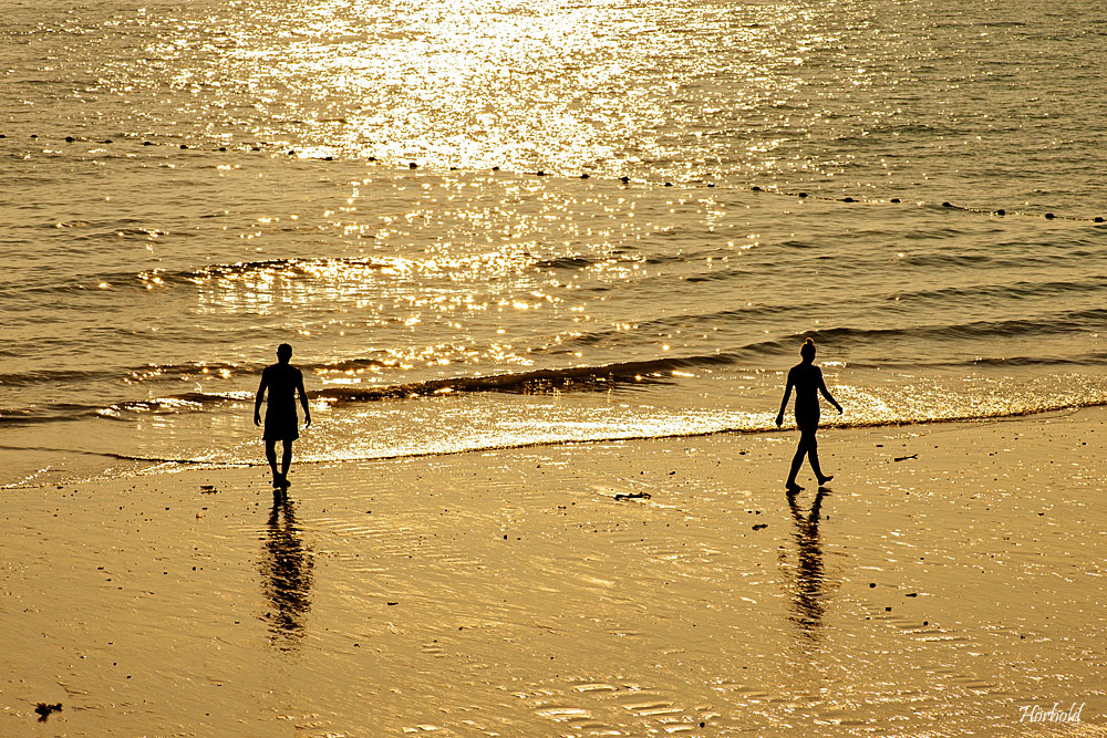 Strandläufer