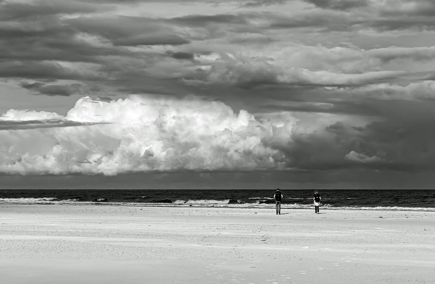 Strandläufer