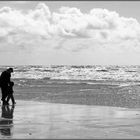 .... Strandläufer ........