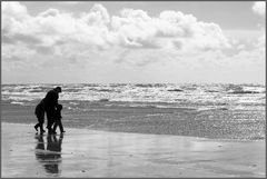 .... Strandläufer ........