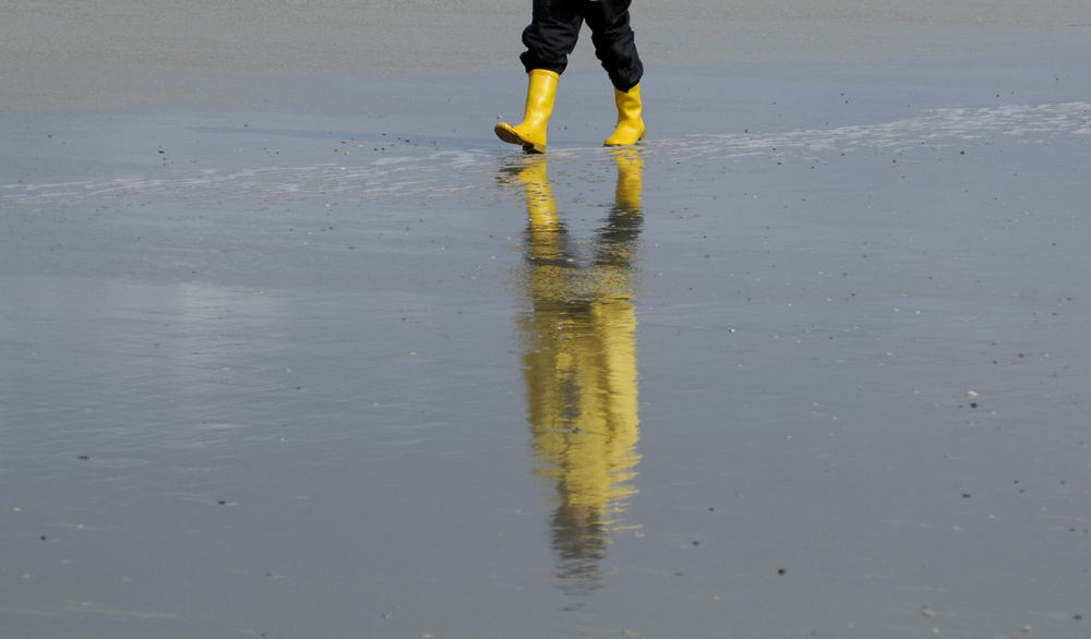 Strandläufer