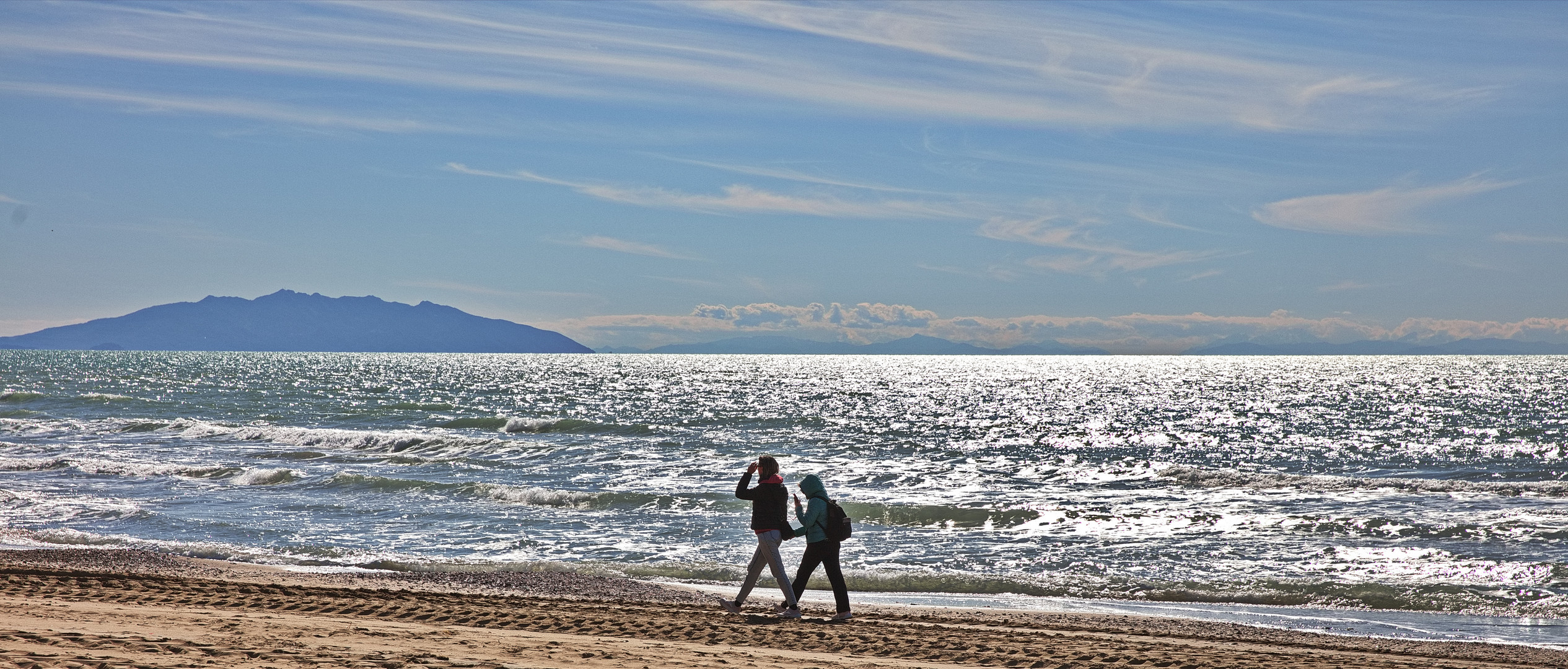 Strandläufer