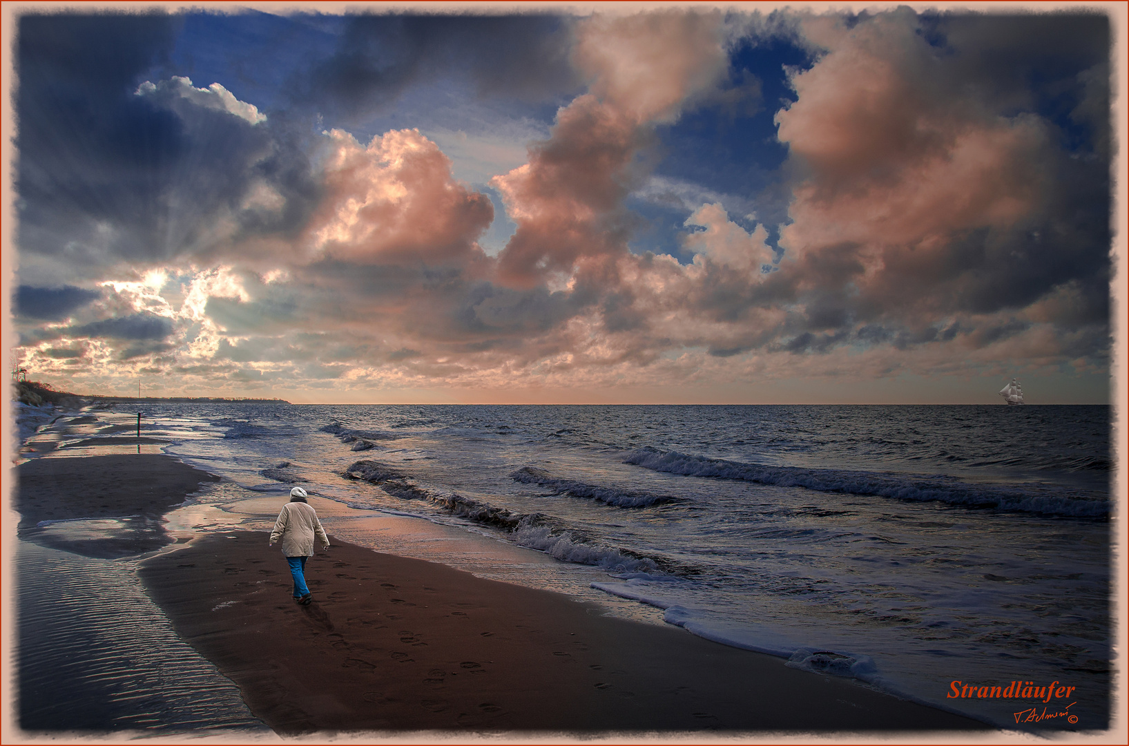 Strandläufer