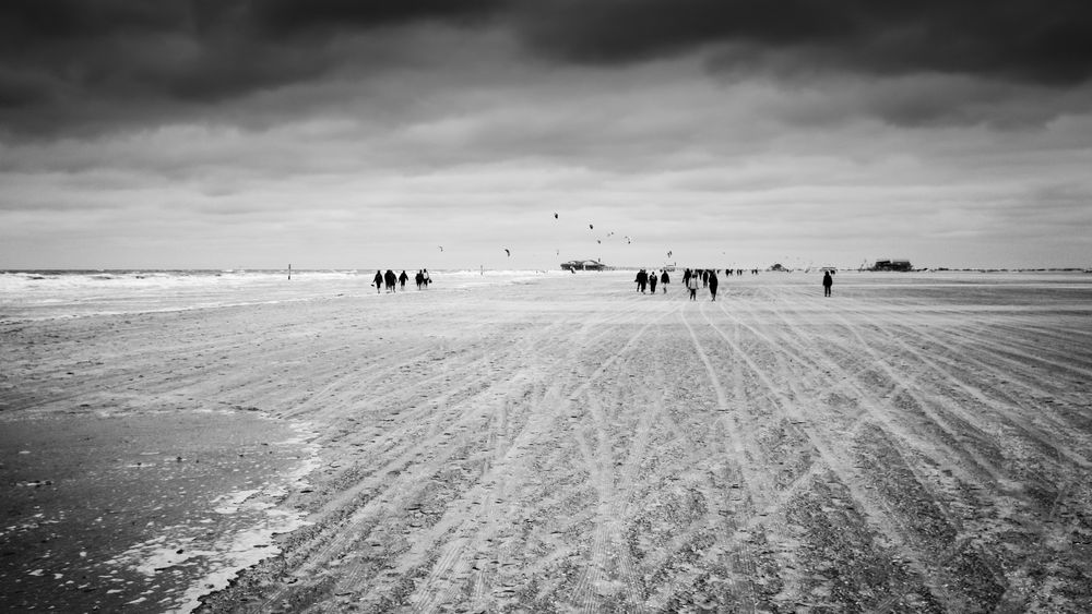 Strandläufer