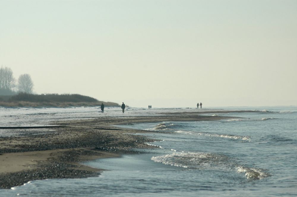 Strandläufer