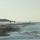 Strandläufer