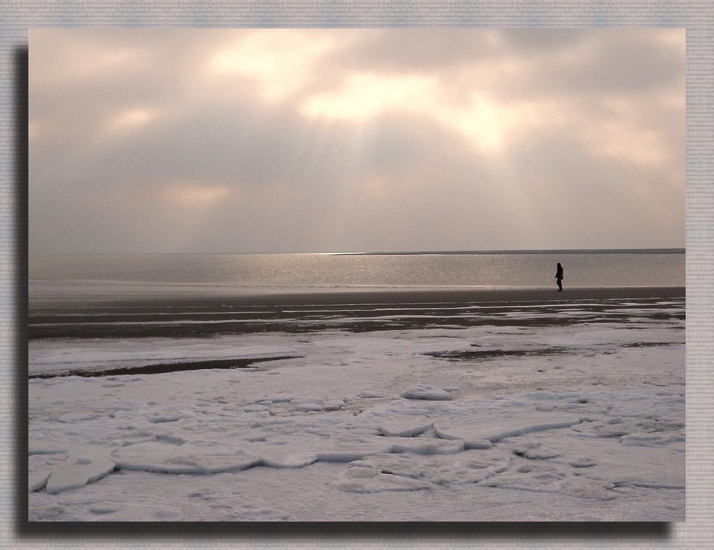 Strandläufer