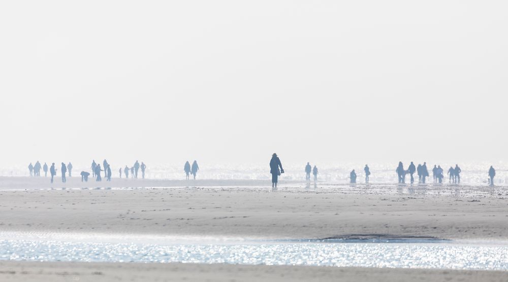 ~ Strandläufer ~