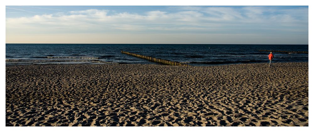 Strandläufer