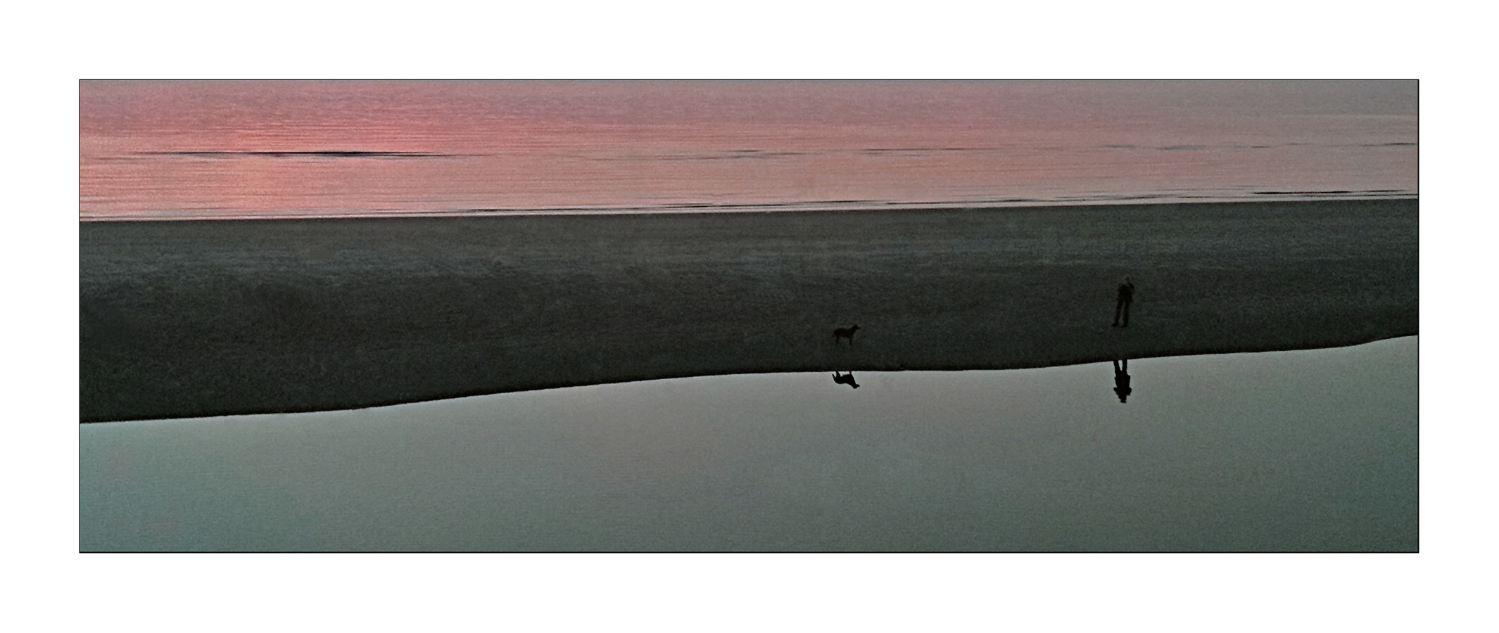 ...Strandläufer...