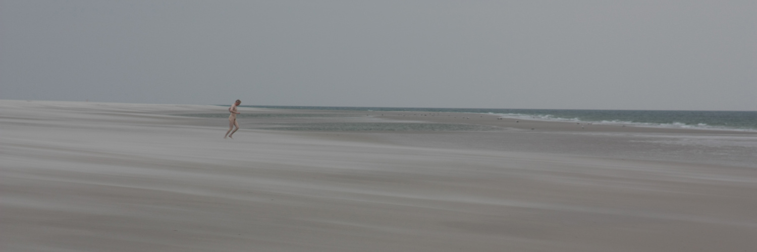 Strandläufer