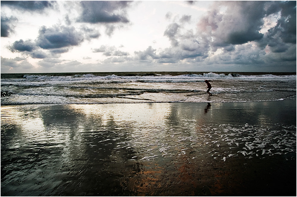 Strandläufer