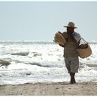 Strandläufer