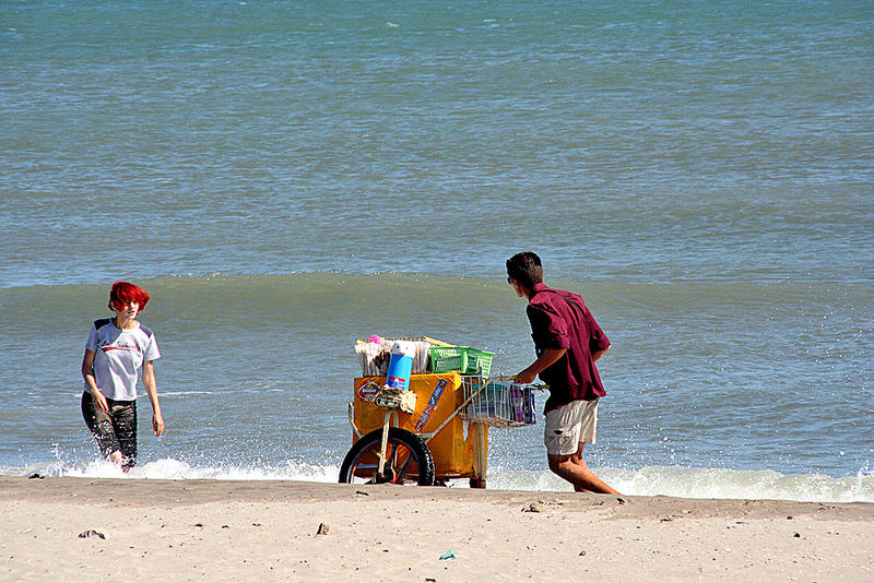 Strandläufer