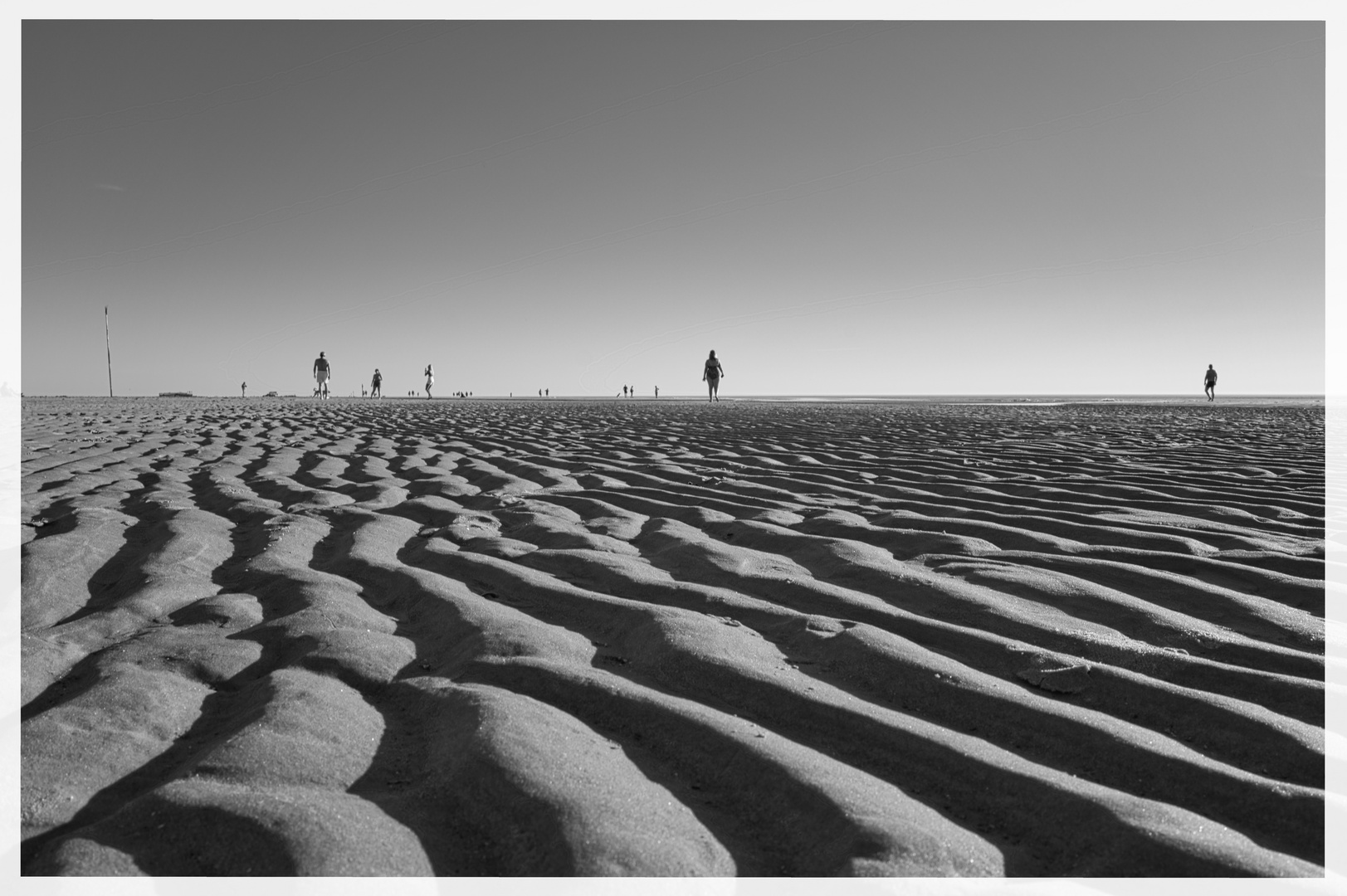 Strandläufer...