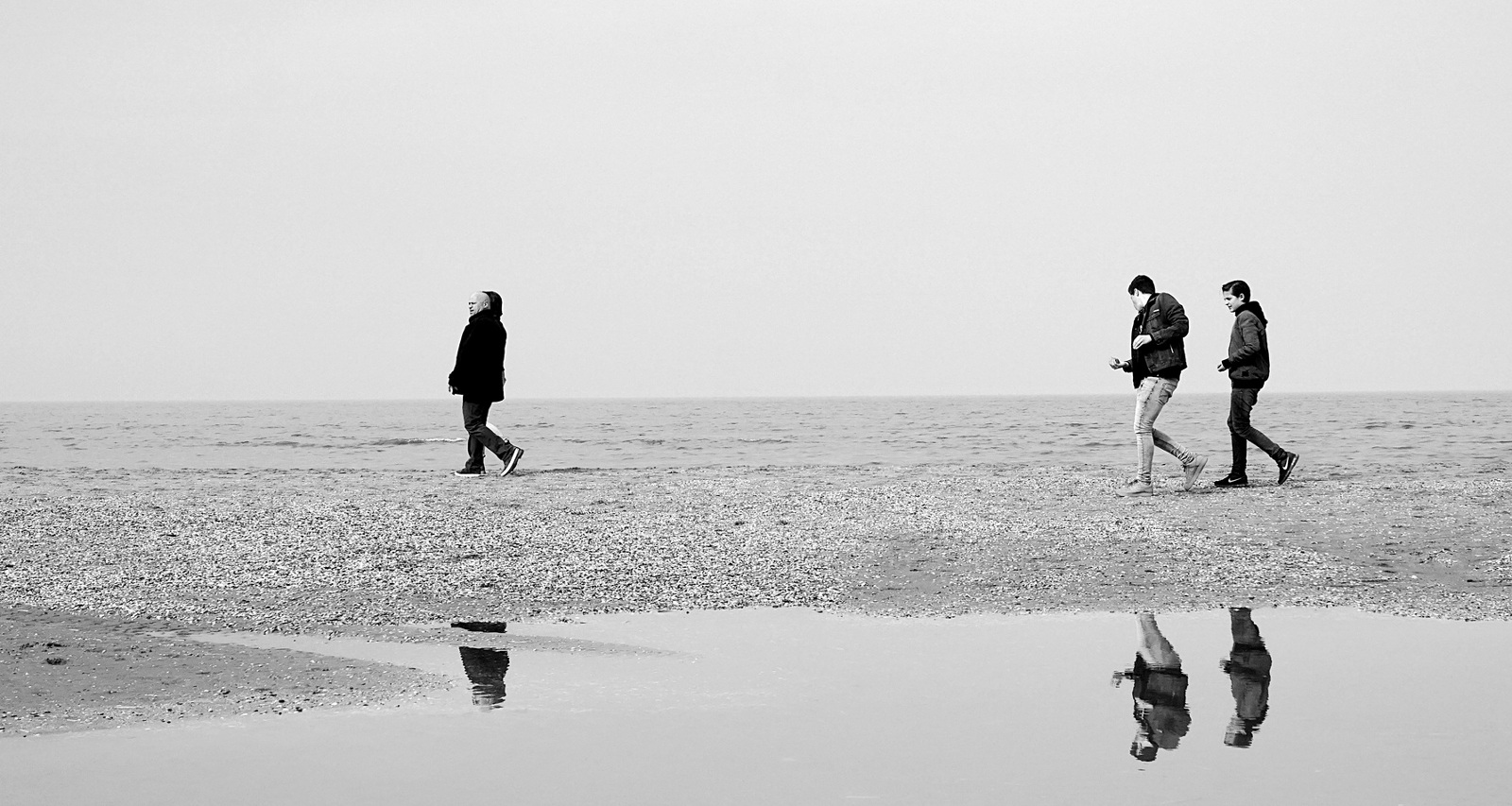 Strandläufer