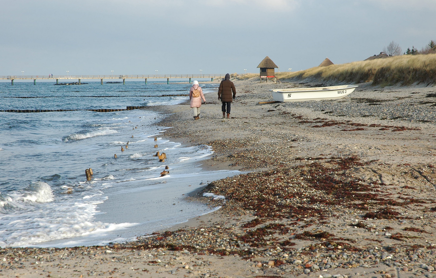 Strandläufer