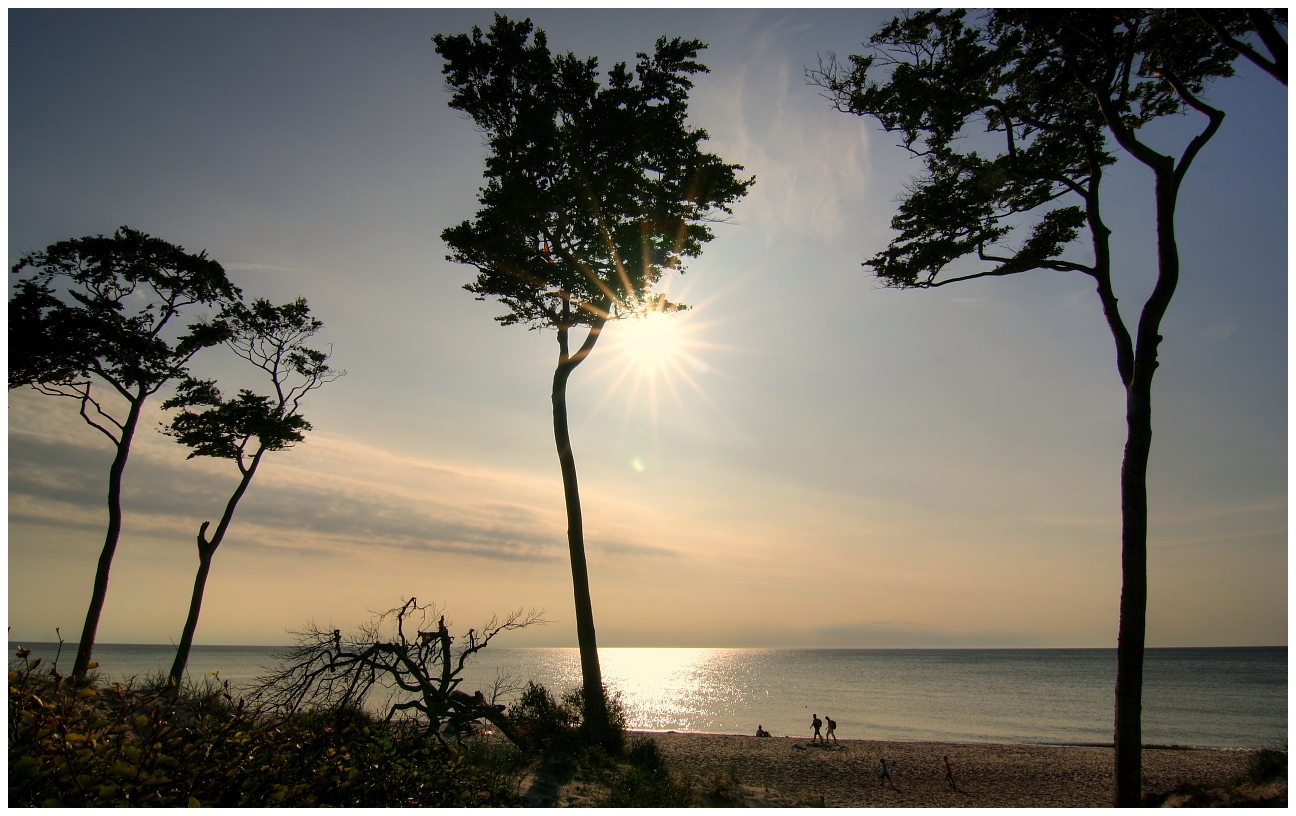 * Strandläufer *