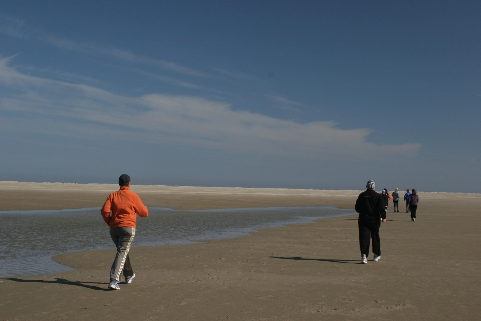 Strandläufer