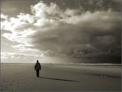 Strandläufer .