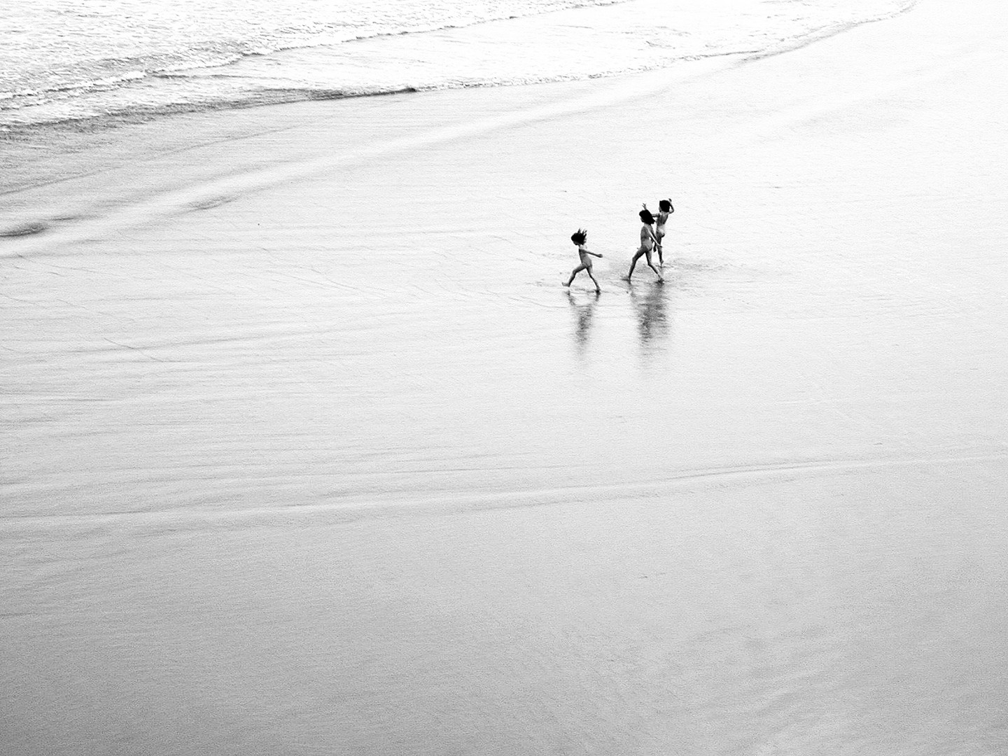 Strandläufer