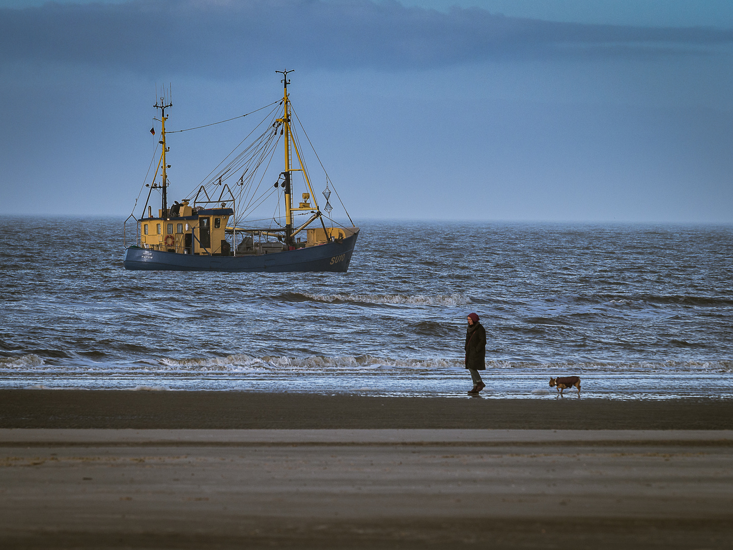 Strandläufer...