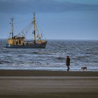 Strandläufer...