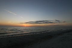 Strandläufer am Abend