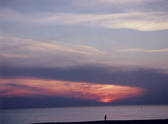 Strandläufer am Strand von Wenningstedt