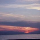 Strandläufer am Strand von Wenningstedt