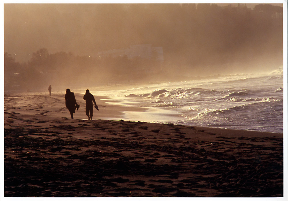 Strandläufer