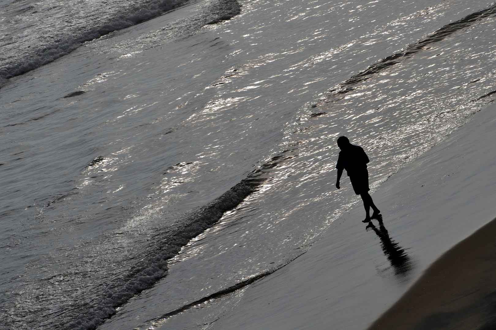 Strandläufer