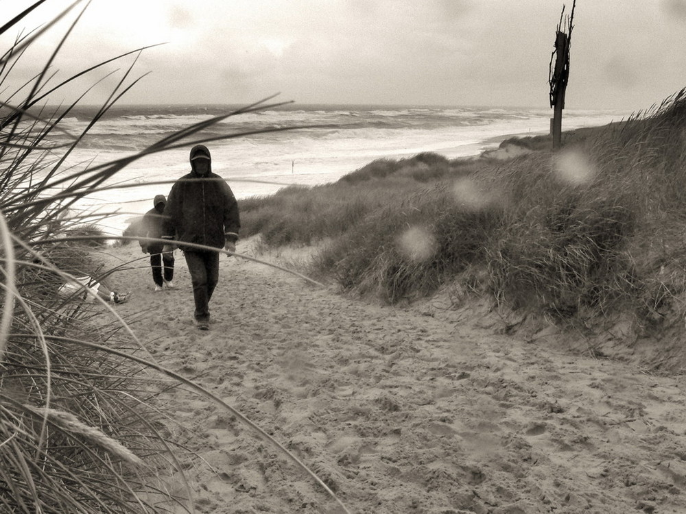 Strandläufer